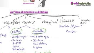 La fibra alimentaria o dietética  wikinutrición [upl. by Patterman]