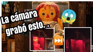 MOMENTO EN QUE ANABELLE ESCAPÓ DEL MUSEO DE LOS WARREN😱Será Real [upl. by Marillin981]