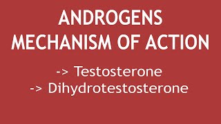 Mechanism of action of Androgens Testosterone amp Dihydrotestosterone  Dr Shikha Parmar [upl. by Mahda]