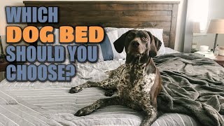 My Dog Bed Recommendations [upl. by Hsoj731]