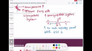 Baroreceptor reflex cardiology 48 First Aid USMLE Step 1 in UrduHindi [upl. by Airlee]