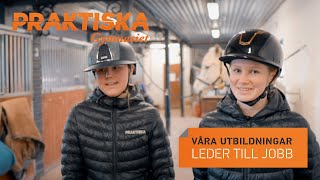 Läs Naturbruk på Praktiska Gymnasiet i Falun [upl. by Mariya]