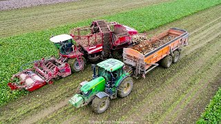 Suikerbieten rooien  Sugar beet harvest  Zuckerrüben ernten  Grimme  Dezeure  John Deere [upl. by Sachiko]