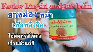 Review Lingzhi analgesic balm รีวิว ยาหม่องพม่า เห็ดหลิงจือ ทาถูทาถู นวดร้อนไม่ค่อยกัดผิว [upl. by Akcebar277]