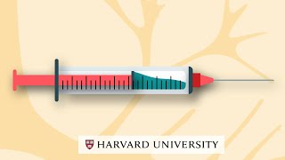 How mRNA vaccines work [upl. by Airdnazxela417]