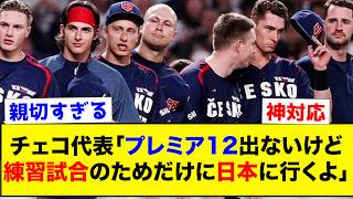 【衝撃】チェコ代表、プレミア12出ずに練習試合のためだけに来日したという事実www【なんJ反応集】 [upl. by Luiza]