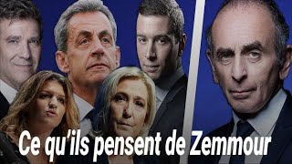 Ce que les adversaires d’Eric Zemmour pensent de lui [upl. by Gurango]