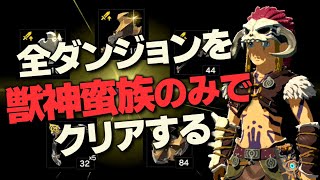 オールダンジョン装備縛り攻略解説『獣神×蛮族編』【ゼルダの伝説 ブレス オブ ザ ワイルド】 [upl. by Milah350]