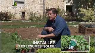 Calendrier du jardinier mai  que faire au jardin ou sur la terrasse  Truffaut [upl. by Ancel901]