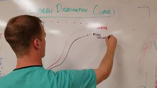 Oxygen Dissociation Curve High Yield Mnemonic and Discussion [upl. by Esmerolda]