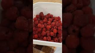 Very Simple Raspberry Preservation farming gardening garden [upl. by Grider497]