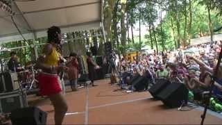 Fatoumata Diawara  J  LIVE at Afrikafestival Hertme 2010 [upl. by Gilbye702]