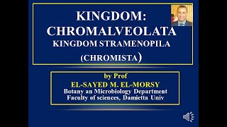 Kingdom chromoalveolata Chromista 1 [upl. by Jenny70]