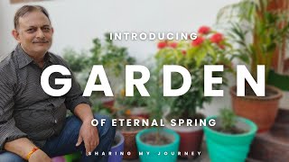 Introducing my Garden  Lets start this journey together [upl. by Anerb]