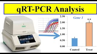 Analyzing real time PCR data [upl. by Elatsyrc]