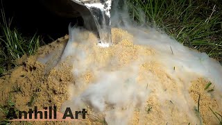 Fire Ant Hill Casting with Aluminum Cast 070 [upl. by Millie]