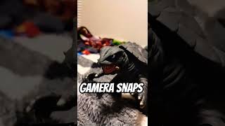 Alpha Godzilla Buddies  Gamera snaps spongebobmemes spongebobmeme spongebobbfbb [upl. by Ssalguod]