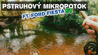 Změna místa ryba jistá ft Ford Fiesta ST [upl. by Aggie488]