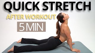 5 MIN QUICK FULL BODY STRETCHING EXERCISES FOR AFTER WORKOUT  Relax recover and gain flexibility [upl. by Glorianna]