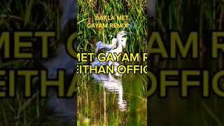 BAKLA MET GAYAM REMIX 🎧 remix trending newmusic [upl. by Christian281]