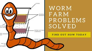 Worm Composting How to Make a Wormery [upl. by Krilov]