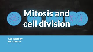 Mitosis and cell division [upl. by Hands]