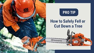 How to Safely Fell or Cut Down a Tree Using a Chainsaw  Husqvarna [upl. by Pascale725]