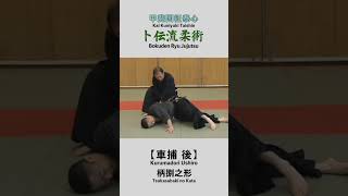 Bokuden Ryu Jujutsu【Kurumadori Ushiro】Tsukasabaki no Kata 卜伝流柔術【車捕 後】柄捌之形 shorts [upl. by Annyrb]