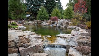 BACKYARD RECREATION POND [upl. by Richardo]