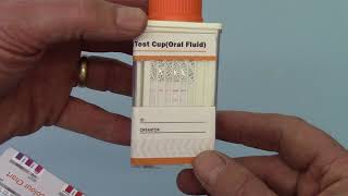 Drug test Results How to read positive and negative DSD8127C [upl. by Rojam819]