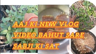 Hara Sabji ka video Aaj main todne ja rahe hun kus sabji Mana nuni and Green Reship 🥳😋🥗🥗 [upl. by Schoof]