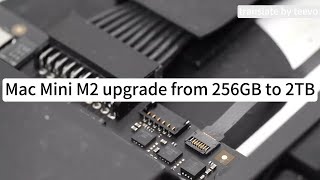 Upgrade Your Mac Mini M2 from 256GB to 2TB  Easy and Simple StepbyStep Guide for Maximum Storage [upl. by Nanette642]