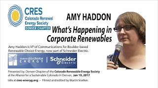 Whats Happening in Corporate Renewables Amy Haddon Renewable Choice Energy [upl. by Sandeep]