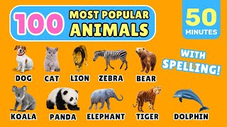 Top 100 Animals for Kids to Learn  Names Spelling and Pronunciation  Say amp Play [upl. by Ainalem]