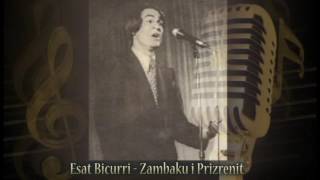 Esat Bicurri  ZAMBAKU I PRIZRENIT [upl. by Zingg]