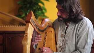 Interview Vicente La Camera Mariño early Irish and Scottish harps [upl. by Chappie]