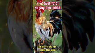 TỬ VI NỮ MẠNG QUÝ ĐẬU 1993 [upl. by Durstin]