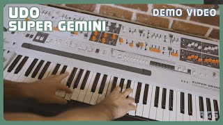 Udo Super Gemini DigitalAnalog Synthesizer  Demo Video  Presets amp Arpeggiator  Retro Gear Shop [upl. by Kyte]