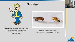 BIOL201 Ch122  Phenotype and Genotype Part 1 [upl. by Nael]