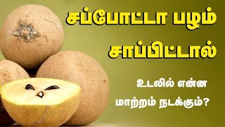 Sapota Fruit Health Benefits  Chikoo Fruit  Tamil Health Tips [upl. by Borlase]