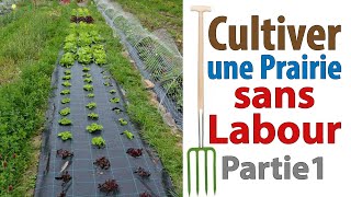 Cultiver une prairie sans labour 1  Culture sur toile de paillage [upl. by Erialcyram699]