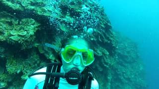 Montego Bay Scuba Dive 3 of 6  Active panic in open water diver [upl. by Alaet996]