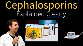 Cephalosporins  Antibiotics Explained Clearly [upl. by Nam]