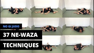 NoGi Judo  37 Newaza techniques for grappling  Judo  BJJ [upl. by Oberheim958]