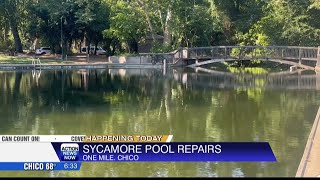 Sycamore Pool repairs [upl. by Zeph]