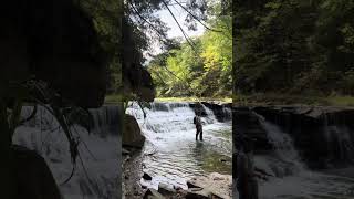 Steelhead on the Chagrin River [upl. by Aicemat]