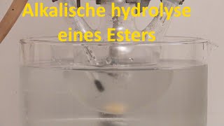 Alkalische Hydrolyse von Methylacetat [upl. by Cristine]