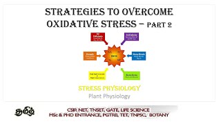 Strategies to overcome Oxidative stress in plants part 2 Tamil CSIR NET TNSET GATE  PGTRB [upl. by Rasure709]