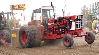 Old International Harvester 1086 with an 800hp V16 Detroit Scraper Motor Antique Tractor Pulling [upl. by Nnaid]