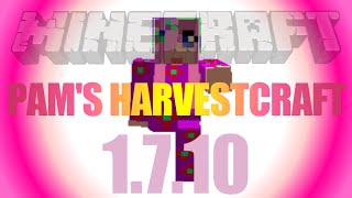 Pams HarvestCraft Mod 1710  how to install on Forge in Minecraft 1710 [upl. by Rabassa117]